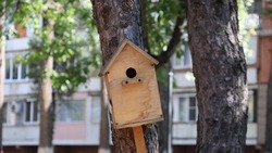 Ставропольцев приглашают к участию в конкурсе игрушек-кормушек