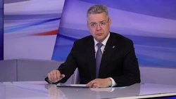 Прямая линия губернатора Владимира Владимирова пройдёт в 18:00 20 июня