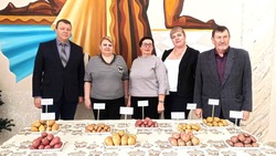 Производство картофеля на Ставрополье обсудили в станице Предгорья