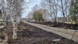 В станице Суворовской благоустроят парковую зону