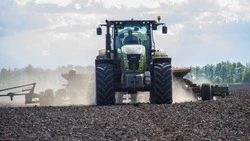 Уборка сахарной свёклы на Ставрополье завершена на 85%