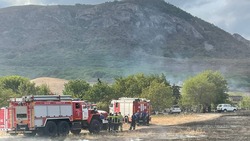 Пожар в 80 тыс. квадратных метров локализовали вблизи домов в Предгорье