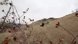 Четыре кургана в Предгорье стали выявленными объектами культурного наследия