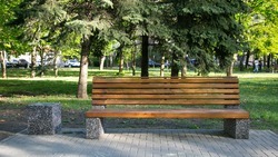 Новый сквер построят в станице Боргустанской в 2025 году