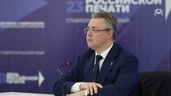 Губернатор Владимиров: Житель Ставрополья создал комикс об участниках СВО