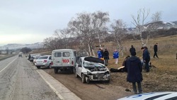 Водитель врезался в вышедшую на трассу лошадь и погиб в Предгорье