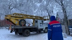 Электроснабжение могут восстановить в домах жителей Этоки и Тамбукана в течение дня