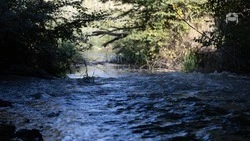 Уровень воды поднялся в реке Кума в окрестностях станицы Бекешевской