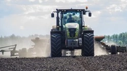 В Ставропольском крае увеличили площади под посев нута на 22%