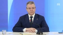 Губернатор Владимир Владимиров поручил найти новые меры поддержки для аграриев