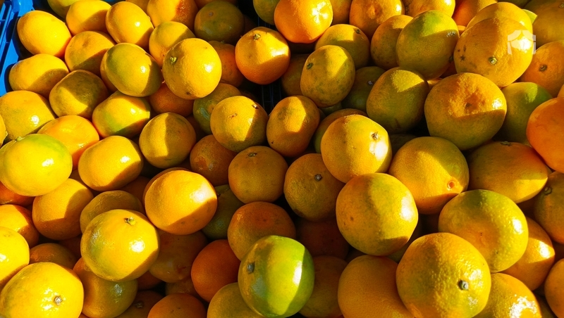 Предгорный округ направит 1 тонну мандаринов бойцам СВО