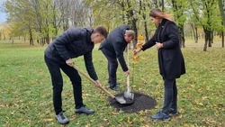 В Предгорье создали Аллею Памяти в честь погибших участников СВО