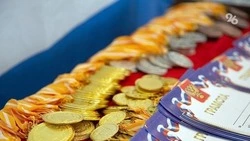 Школьник из Предгорья стал победителем олимпиады «Созвездие – 2026»