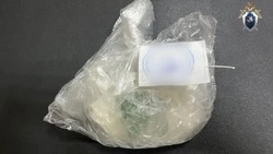 В Предгорье 17-летнего подростка подозревают в торговле наркотиками