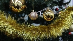 Более 50 детей стали участниками новогодней акции «Ёлка желаний» в Предгорье