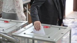 Выборы депутатов думы округа проведут в Предгорье в сентябре