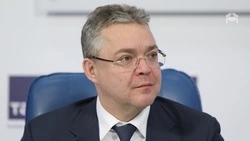 Курорты юга страны должны становиться ближе для жителей России — губернатор Ставрополья Владимиров