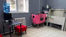 Груминг-салон открылся в Предгорье при поддержке соцконтракта