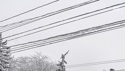 Три обрыва проводов из-за непогоды произошли в станице в Предгорье