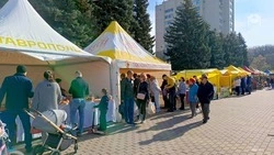 Продуктовые ярмарки пройдут в станице Ессентукской 3 и 17 октября