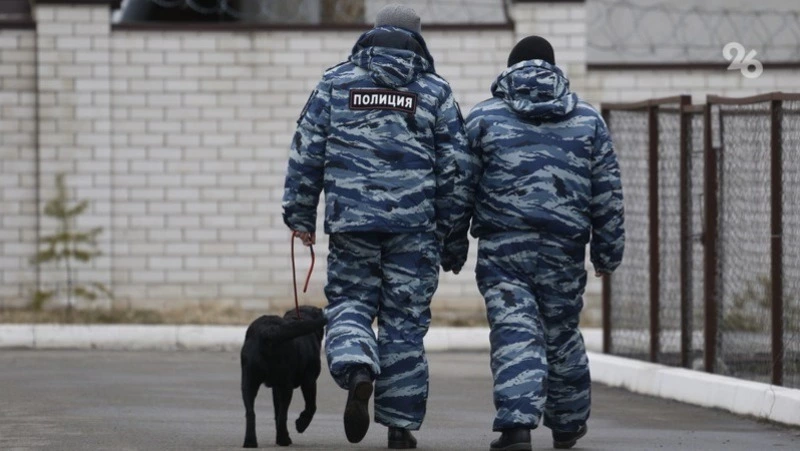 Гранату обнаружили вблизи посёлка в Предгорном округе
