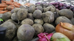 Предгорный округ стал одним из лидеров региона по производству сахарной свёклы