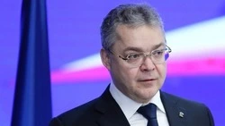 Губернатор Владимиров поручил решить проблему отключения света при сильном ветре