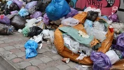 300 тонн мусора собрали на субботнике в Предгорье 