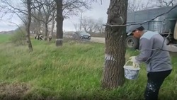В Предгорье на субботниках белят деревья и вывозят мусор