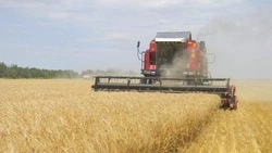 Ставропольские аграрии получат награды за рекордный урожай