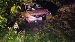 Водитель легковушки врезался в дерево в Предгорье