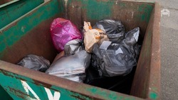 Застрявший мусоровоз изменил график вывоза ТКО в станице Бекешевской