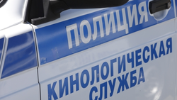 Школу в станице Ессентукской проверяют из-за угрозы минирования