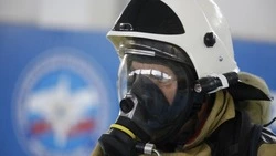 Пенсионерка из Предгорного округа погибла в пожаре 27 февраля