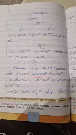 Родители Предгорья пожаловались Мизулиной на школьного учителя из-за ошибок