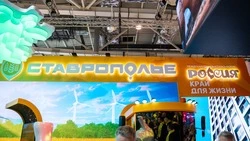 Ставрополье завершило неделю межнациональной дружбы на выставке «Россия»