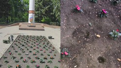 Неизвестные украли цветы на мемориале в Предгорье