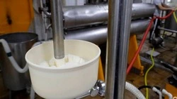 600 тыс. тонн молока перерабатывают в год на Ставрополье