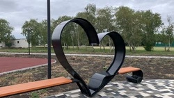 Девушки-вандалы ломают фигуры в парке Предгорного округа