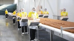 Производство сладостей выросло до 27,7 тыс. тонн на Ставрополье