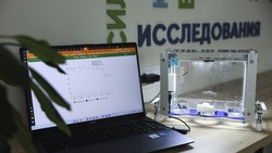Интеллектуальную систему для «Умной теплицы» разработали на Ставрополье 