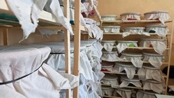 3 млн полезных насекомых подготовили в Предгорном округе для защиты урожая