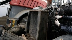Порядка 175 млн рублей предусмотрели для поддержки малых хозяйств в Ставропольском крае