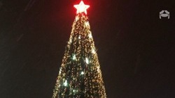 Новогоднюю ёлку высотой 10 м установили в станице Бекешевской