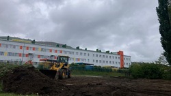 Аллею в посёлке Мирном начали благоустраивать в Предгорье