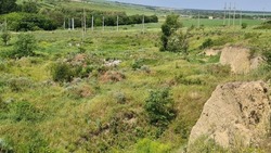 Заброшенный карьер беспокоит жителей села Новая Пролетарка