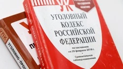 Неоднократно судимый житель Предгорного округа осуждён за причинение смертельных травм