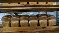 В Предгорном округе ежедневно выпекают свыше десяти тысяч буханок хлеба