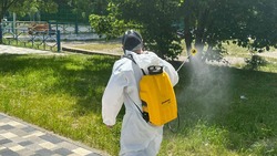 Обработку от клещей проводят в парке станицы Ессентукской