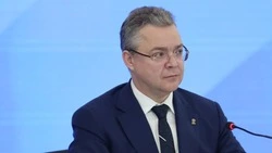 Губернатор Владимир Владимиров поручил защитить жителей от селей
